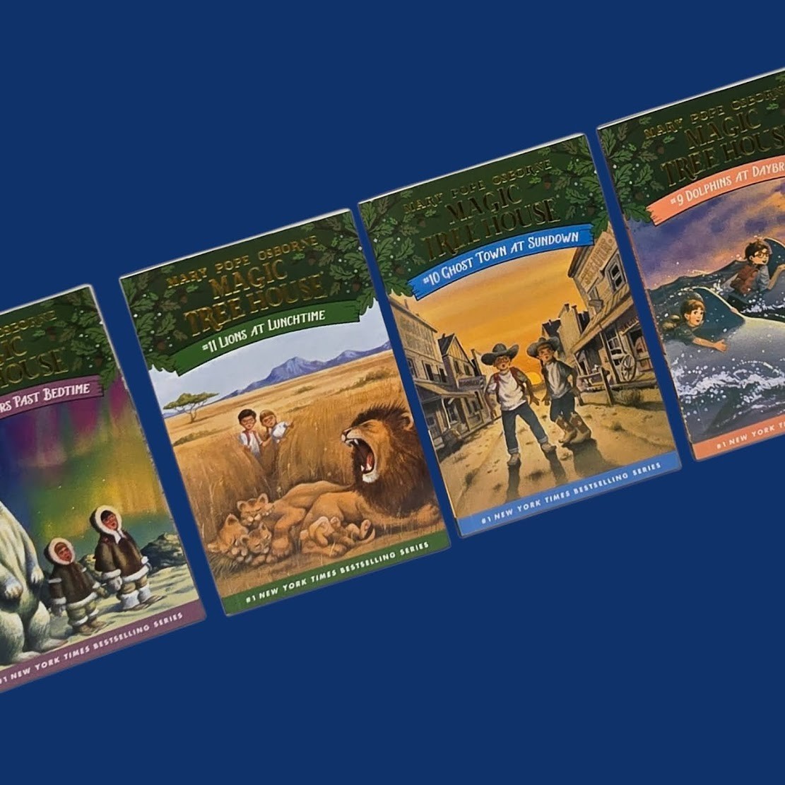 Set 3A: Magic Tree House A Library of Books 1-28 – Mary Pope Osborne Collection