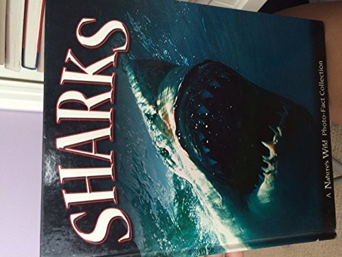 Sharks – GOOD