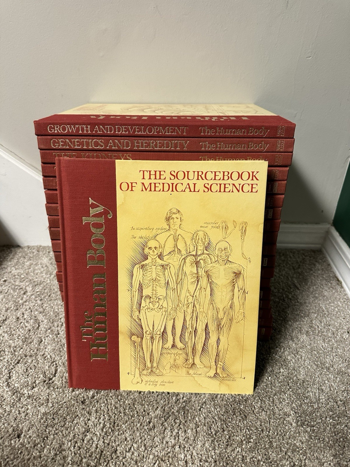The Human Body Series Torstar Books US News 20 Books Complete with Sourcebook