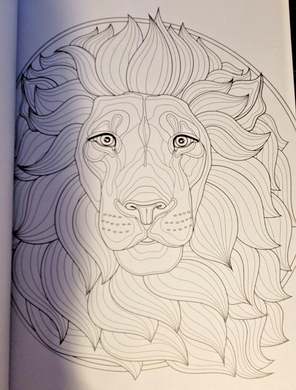 MAGNIFICENT CREATURES Vol 21 – Adult Coloring Book by TOPIX MEDIA – 47 PRINTS