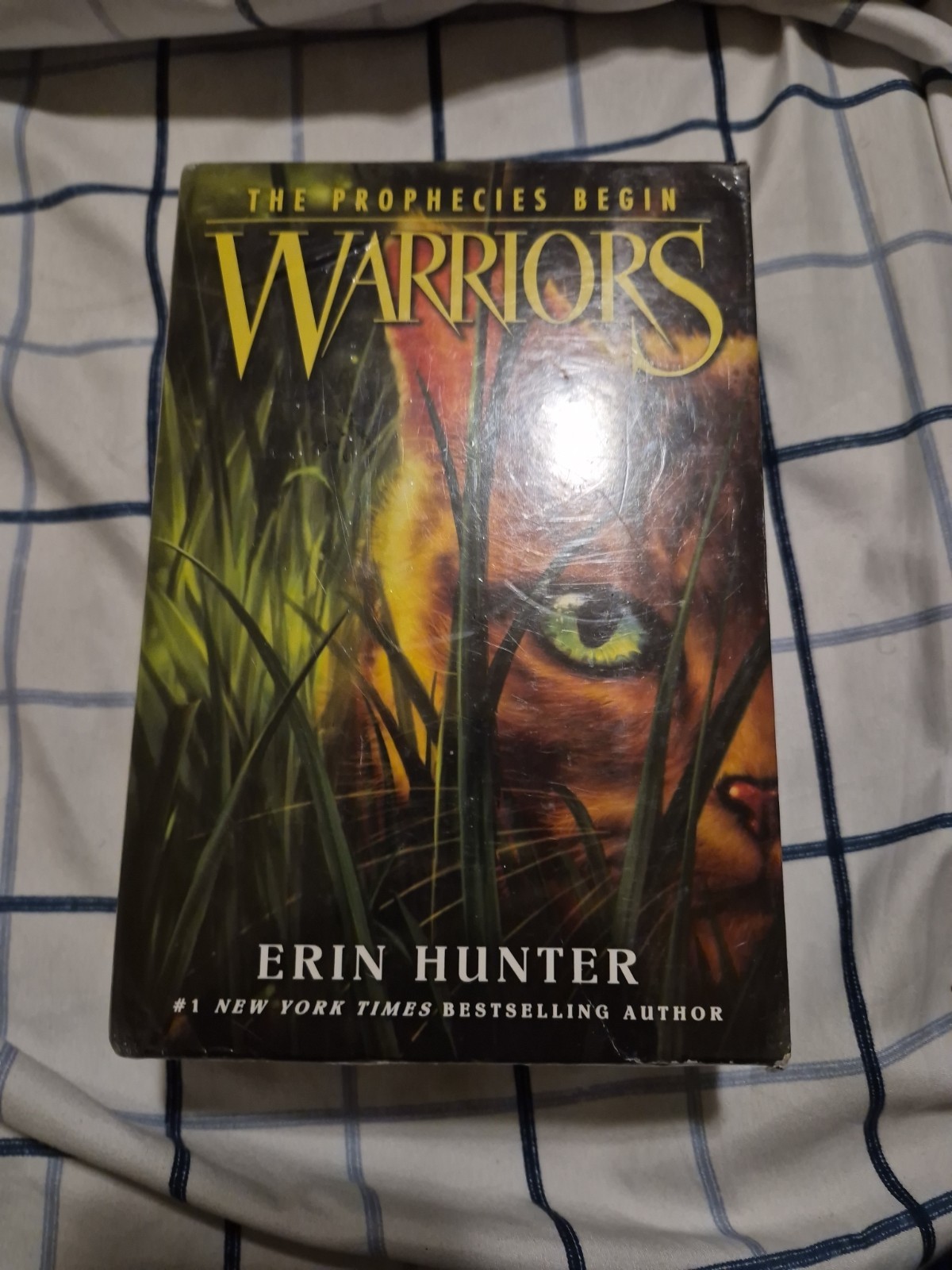 Warriors Box Set: Volumes 1 To 3 : Into the Wild, Fire and Ice, Forest of…