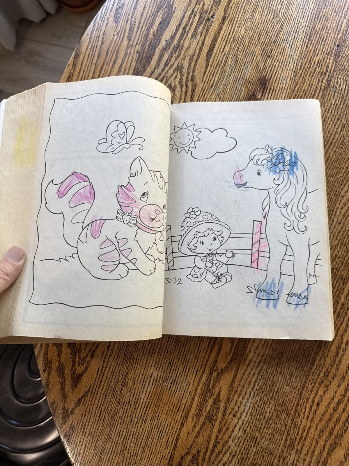 Strawberry Shortcake: : 400 Pages of Coloring Fun! (Strawberry Shortcake) BB