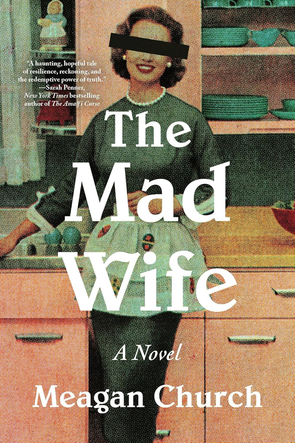The Mad Wife: a Novel