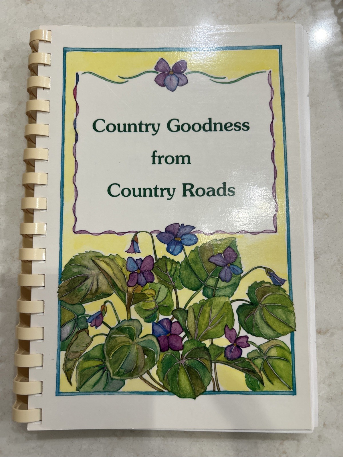 1999 Yuma, Arizona Community Cookbook Spiral Bound Recipes 156 Pages