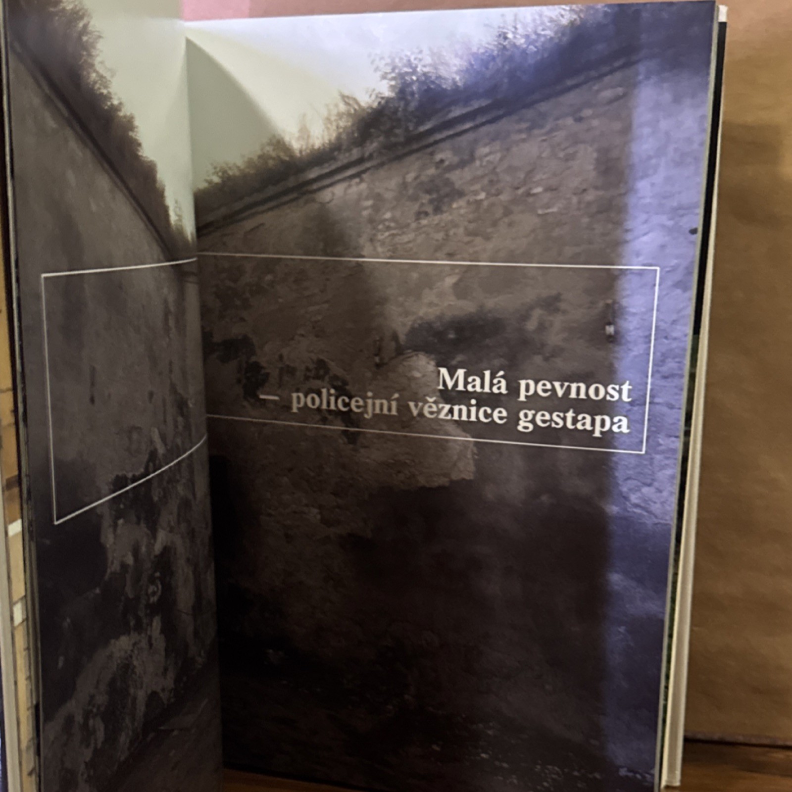Terezín – Památník Terezín 1st Ed 1988 Illustrated Czech/Ger/Rus WWII Holocaust