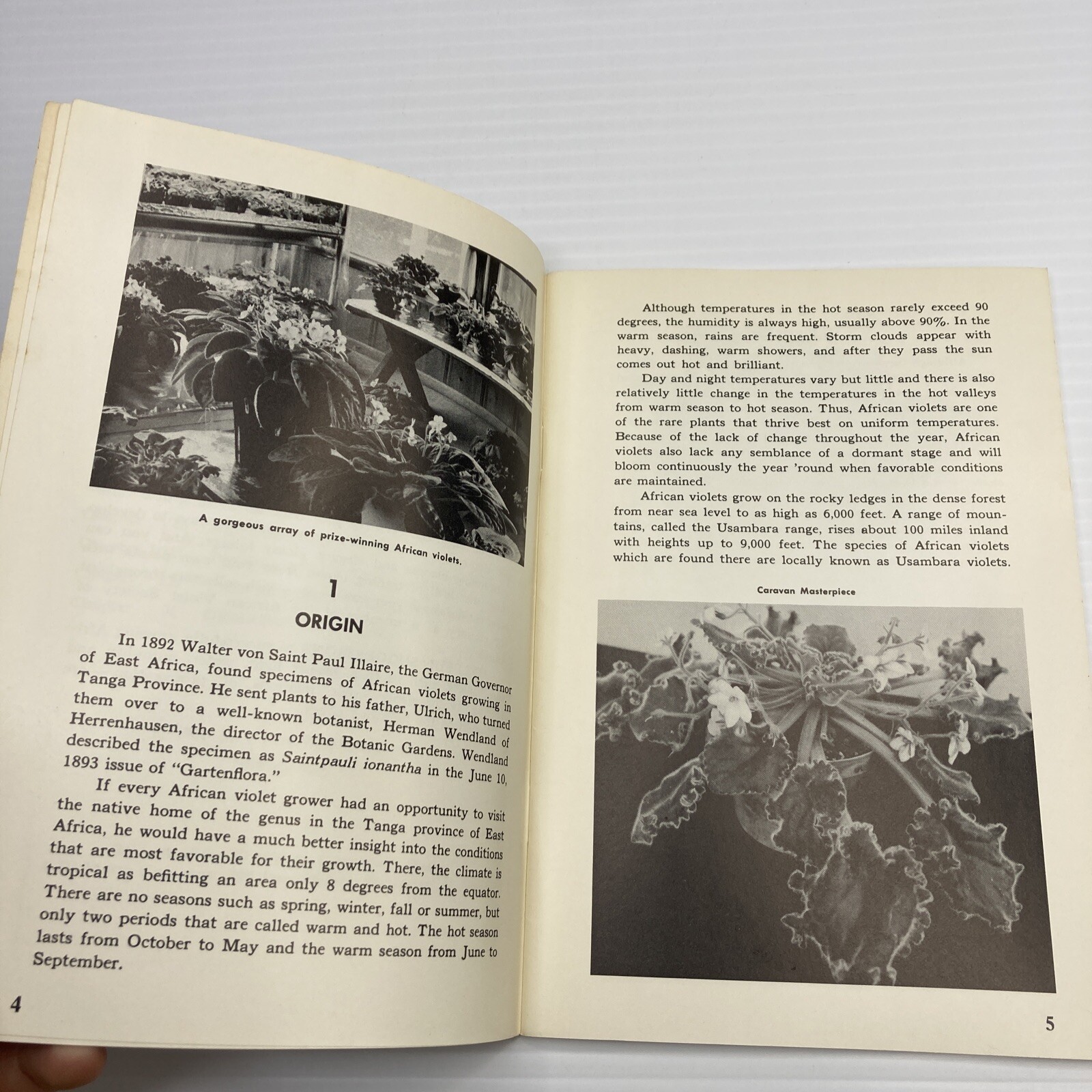 African Violets Countryside Books 1976 Vintage Flower Guide Booklet