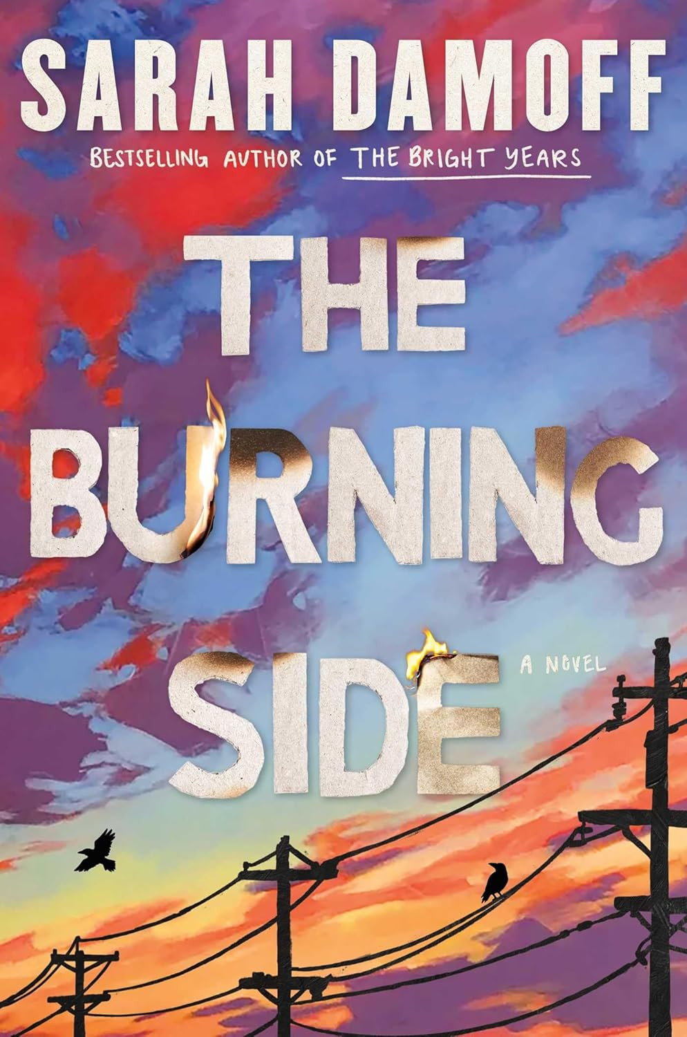 The Burning Side: a Novel