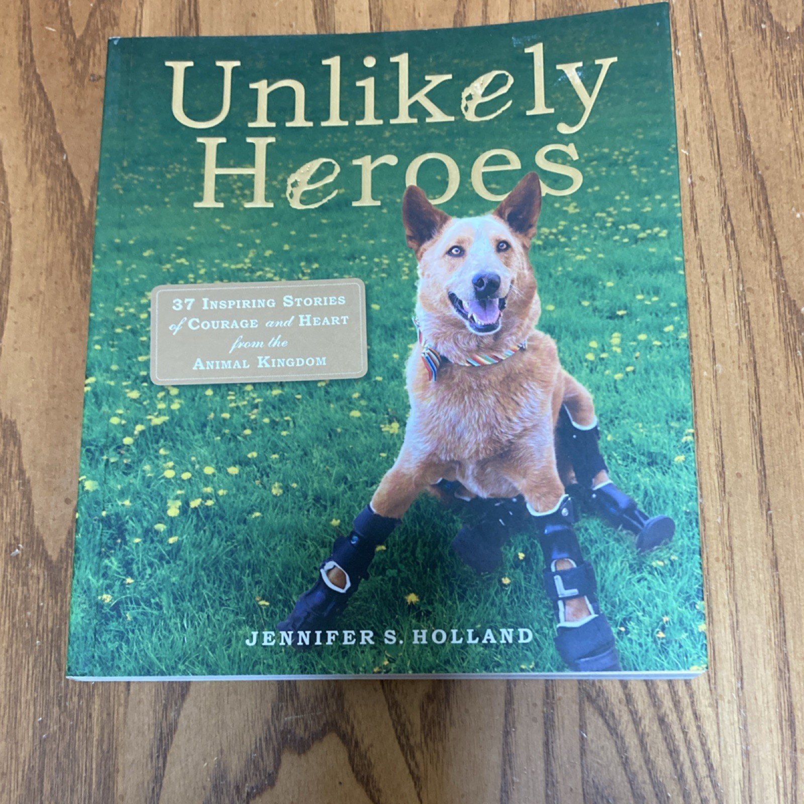 Unlikely Heroes by Jennifer S. Holland (2014, Trade Paperback, Workman)