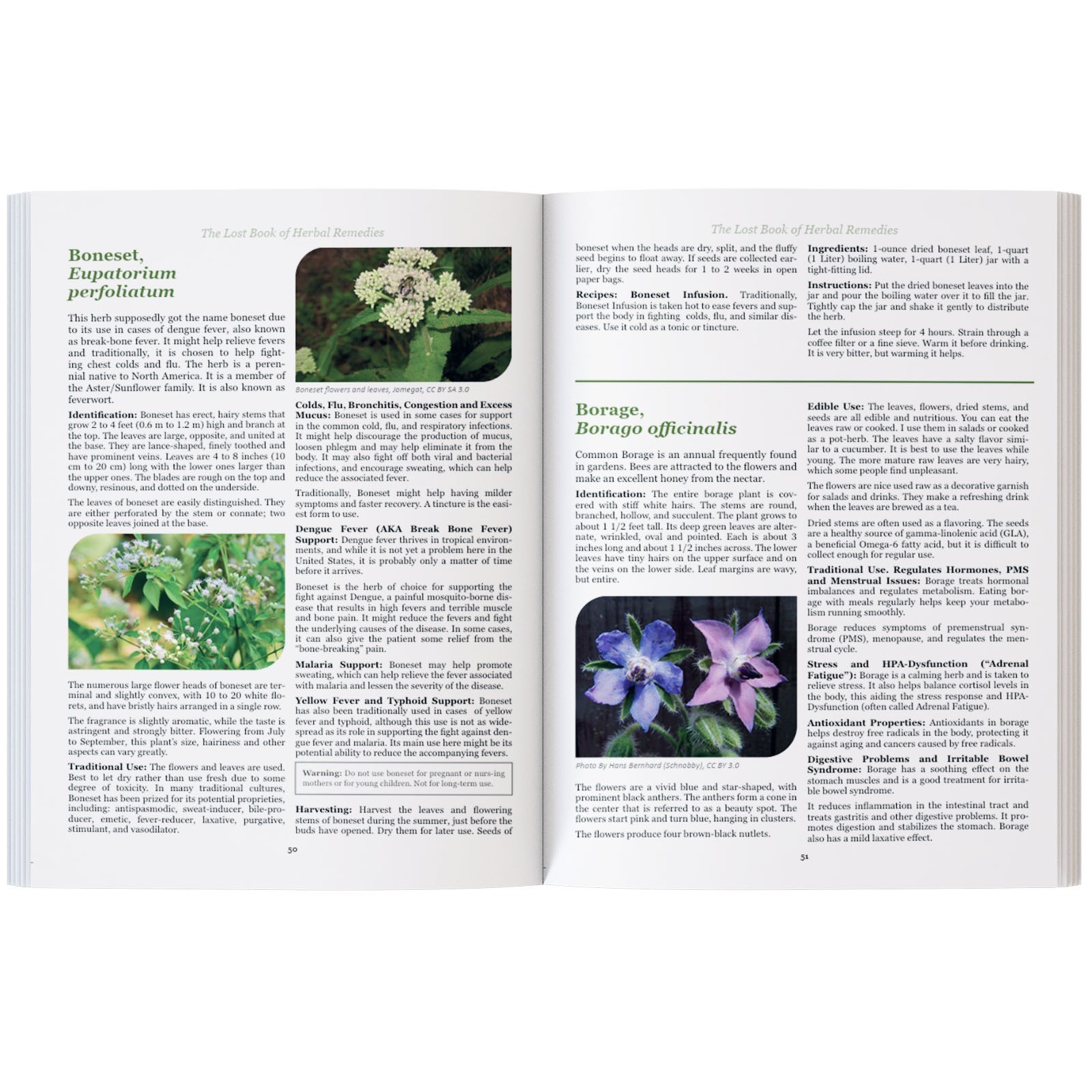 The Lost Book of Herbal Remedies (paperback with color pictures)