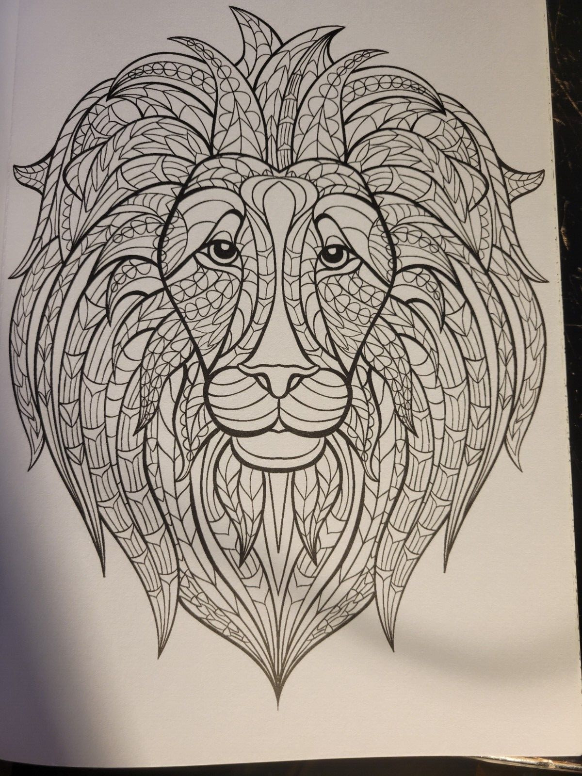 MAGNIFICENT CREATURES Vol 18 – Adult Coloring Book by TOPIX MEDIA – 47 PRINTS