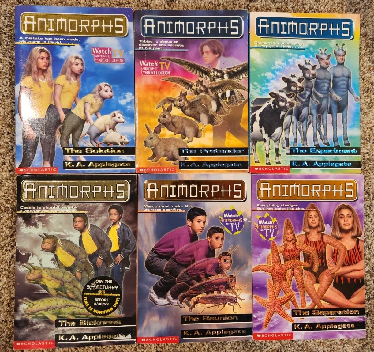 Lot of 28 – Animorphs Book – Scholastic Applegate – 2 Hardcover