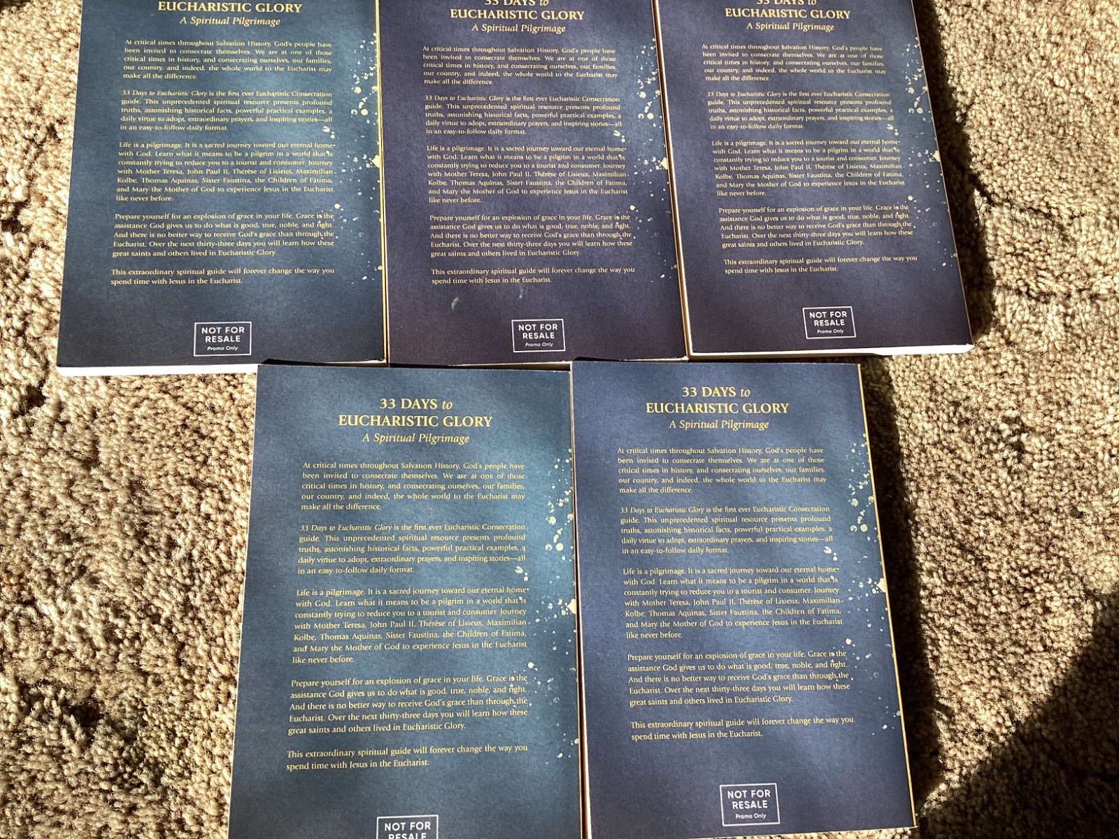 Lot of 5 – 33 DAYS TO EUCHARIST GLORY 152 PAGES Religious Books