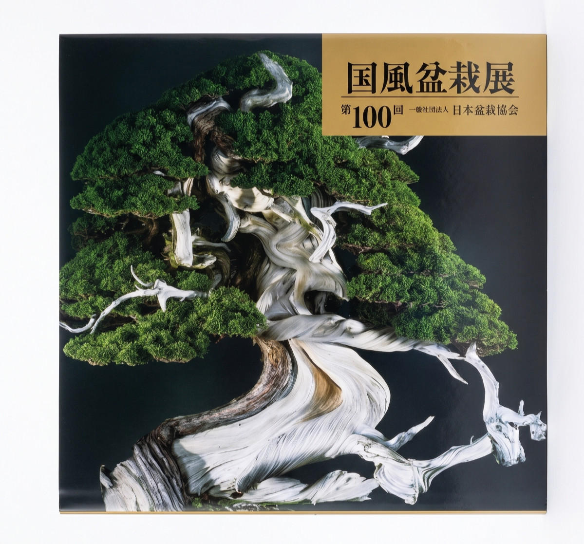 Official 100th Kokufu Bonsai Exhibition 2026 Photo Book Catalog Japan FedEx