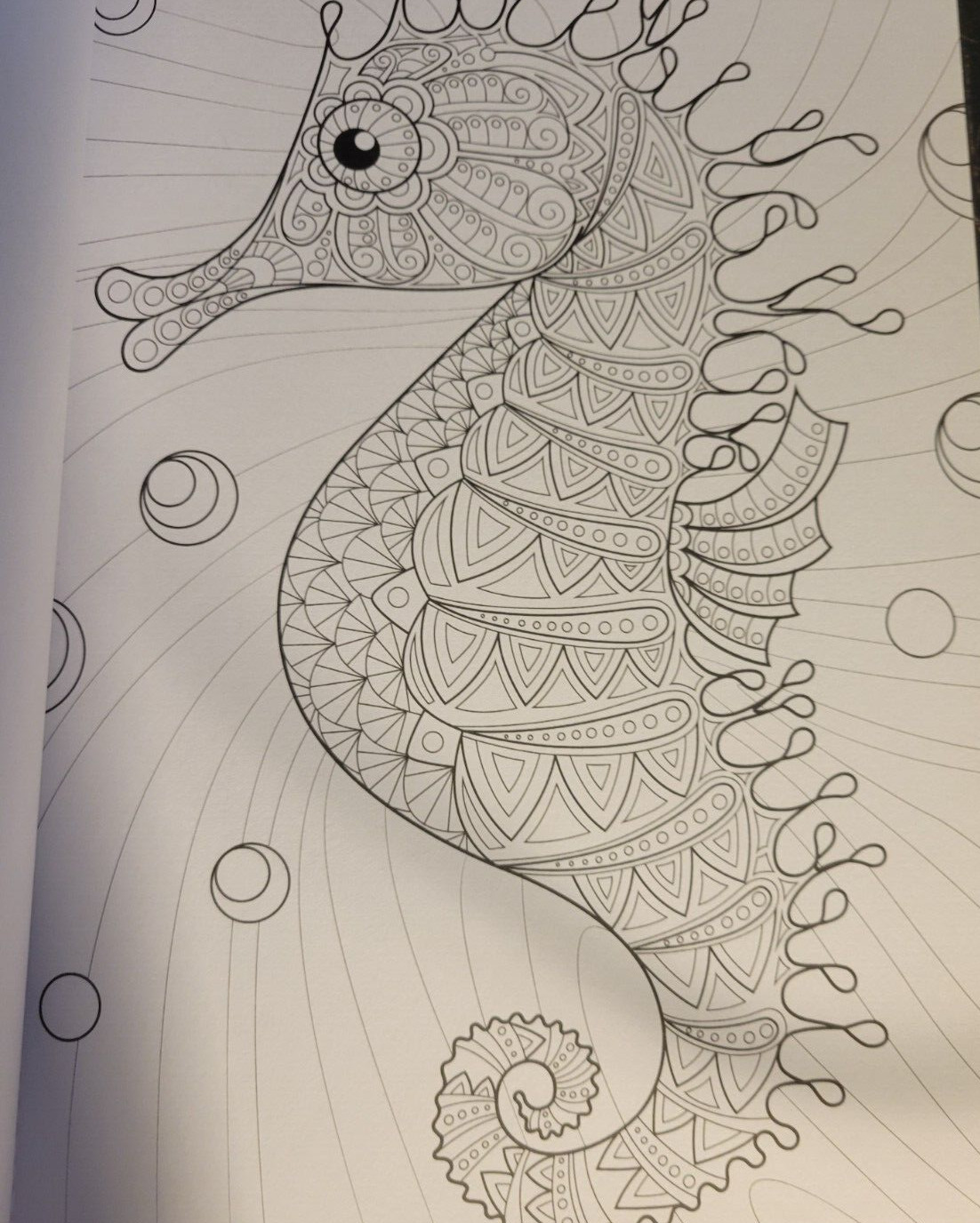 MAGNIFICENT CREATURES Vol 18 – Adult Coloring Book by TOPIX MEDIA – 47 PRINTS