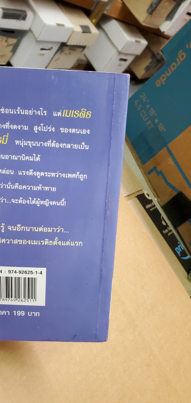 Thai Language #81; book, romance, paperback; see scans for title, author, novel
