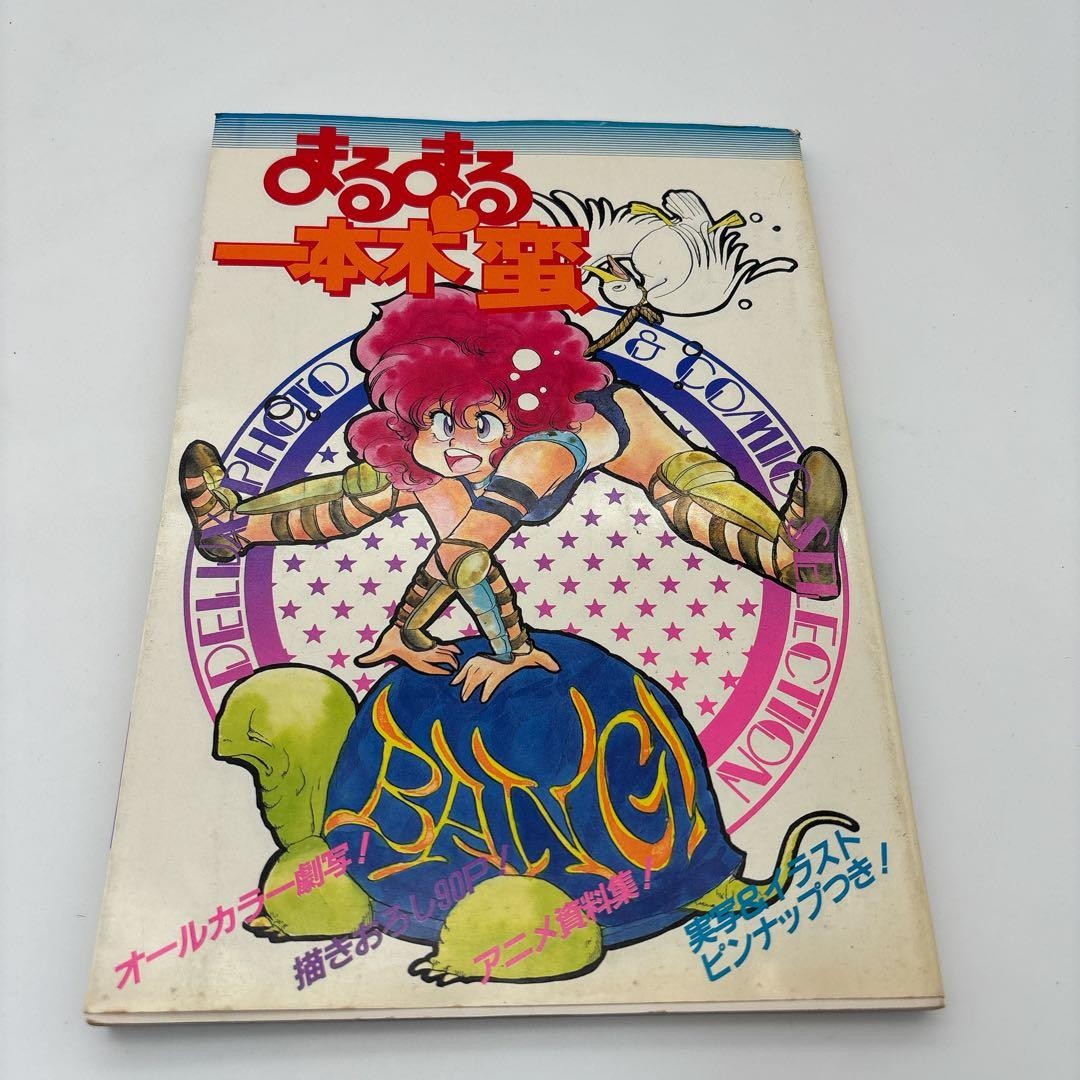 Marumaru Ippongiban DELUXE Photo & Comic Art Book 80s Subculture