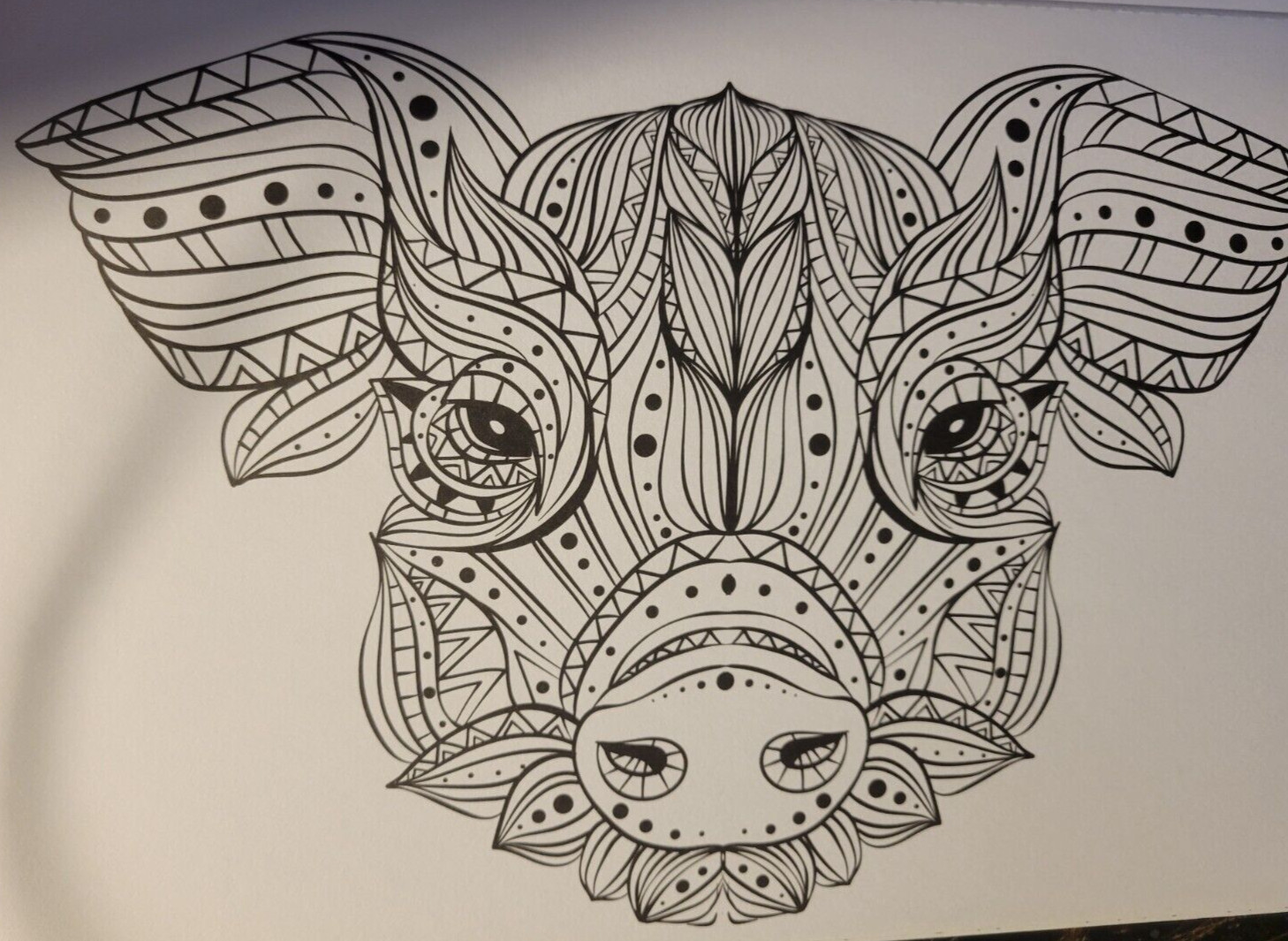 MAGNIFICENT CREATURES Vol 18 – Adult Coloring Book by TOPIX MEDIA – 47 PRINTS