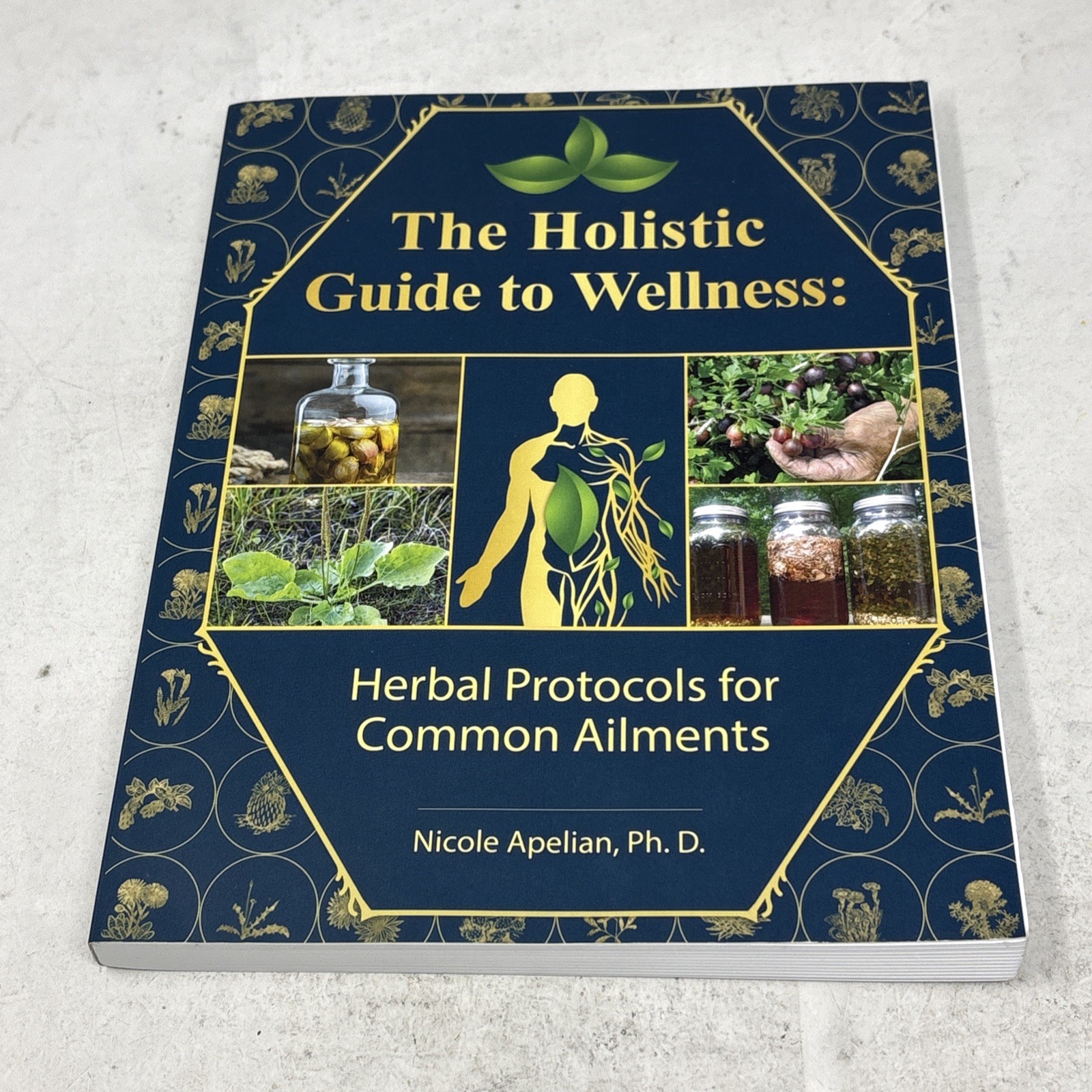Holistic Guide to Wellness : Herbal Protocols for Common Ailments by Nicole…