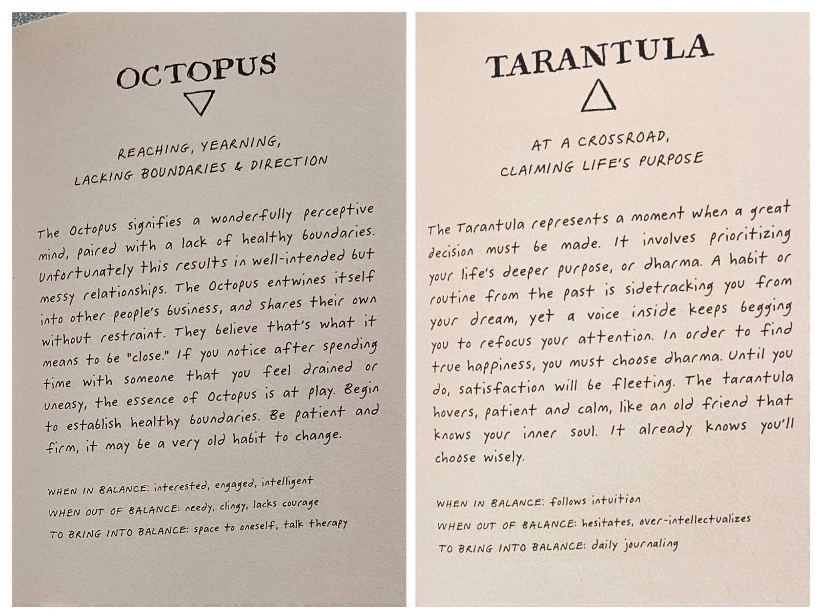 The Wild Unknown Animal Spirit Deck and Guidebook by Kim Krans