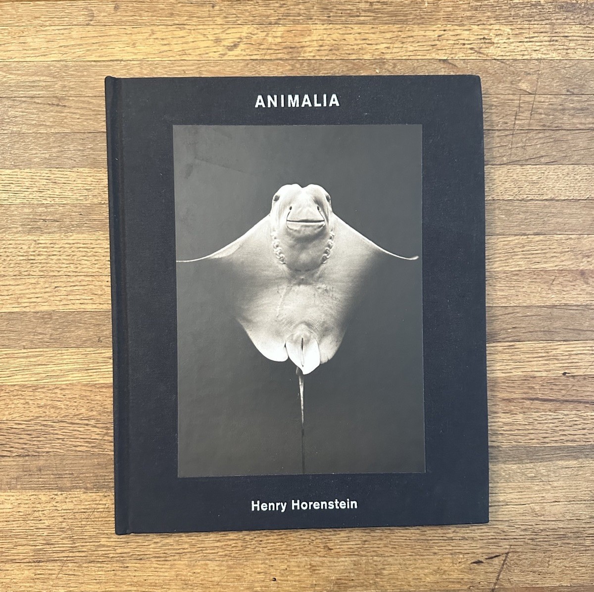 Animalia Henry Horenstein Signed Art Photography 2008 HC First Edition Italy