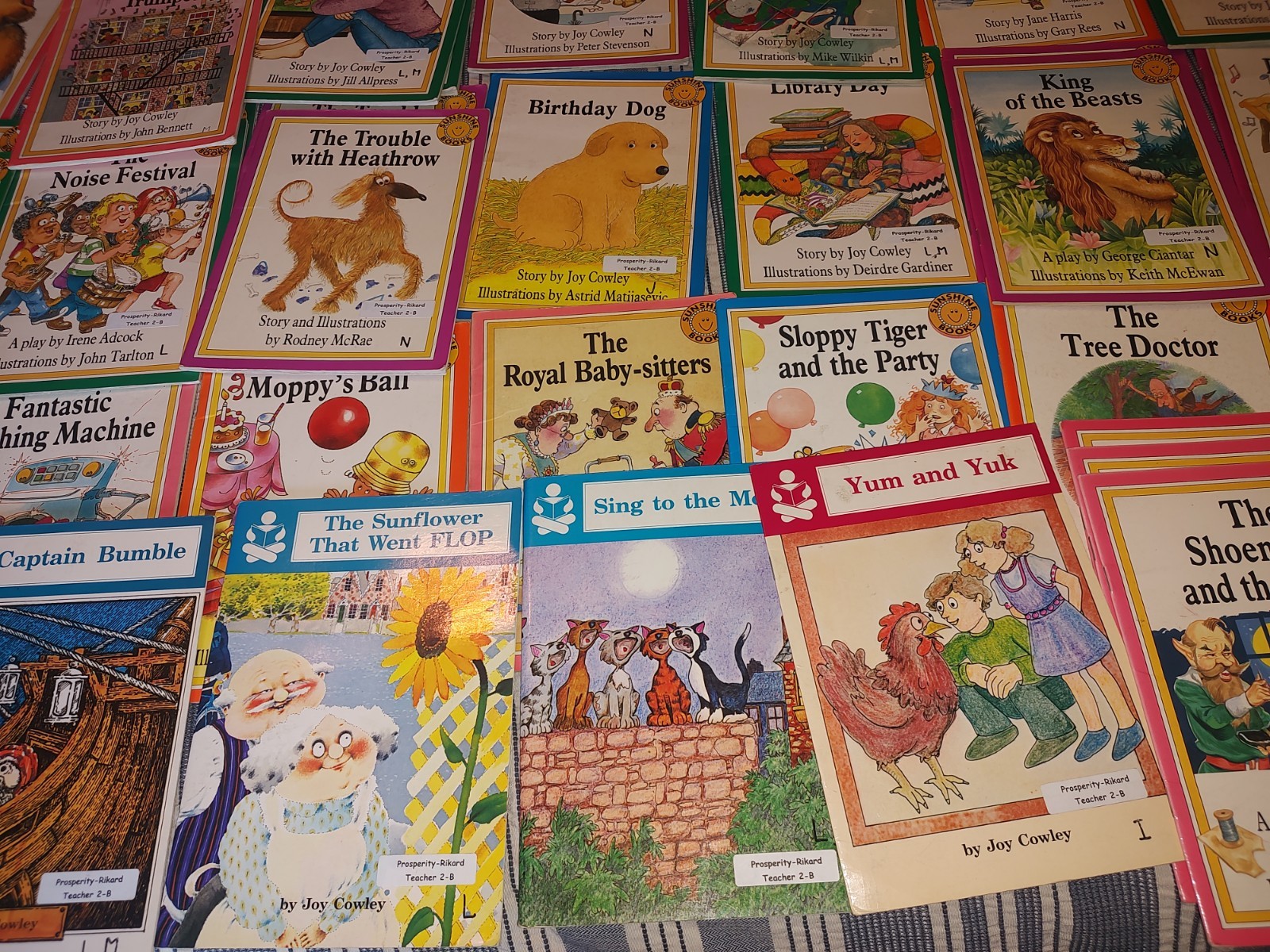 Joy Cowley The Wright Group Books Lot of 70 Story Box Sunshine Homeschool Reader