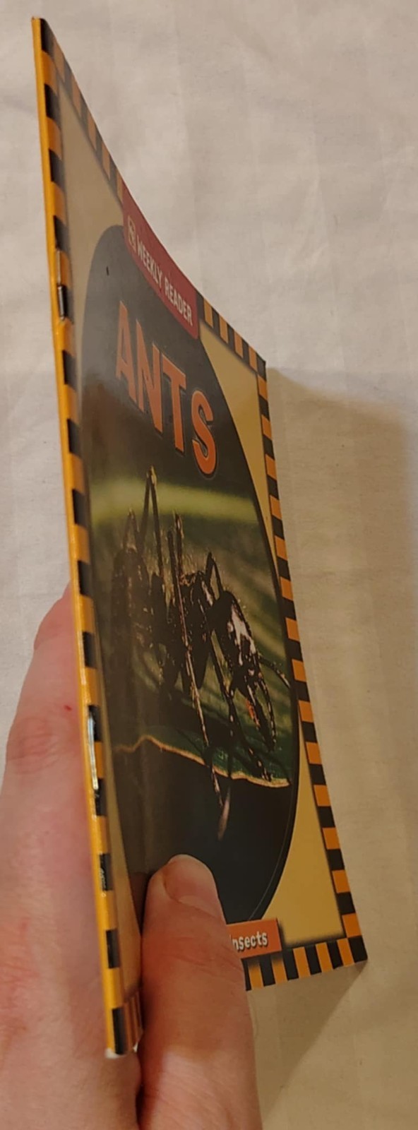 Let’s Read About Insects Ants Weekly Reader Early Learning Ex-Library PB