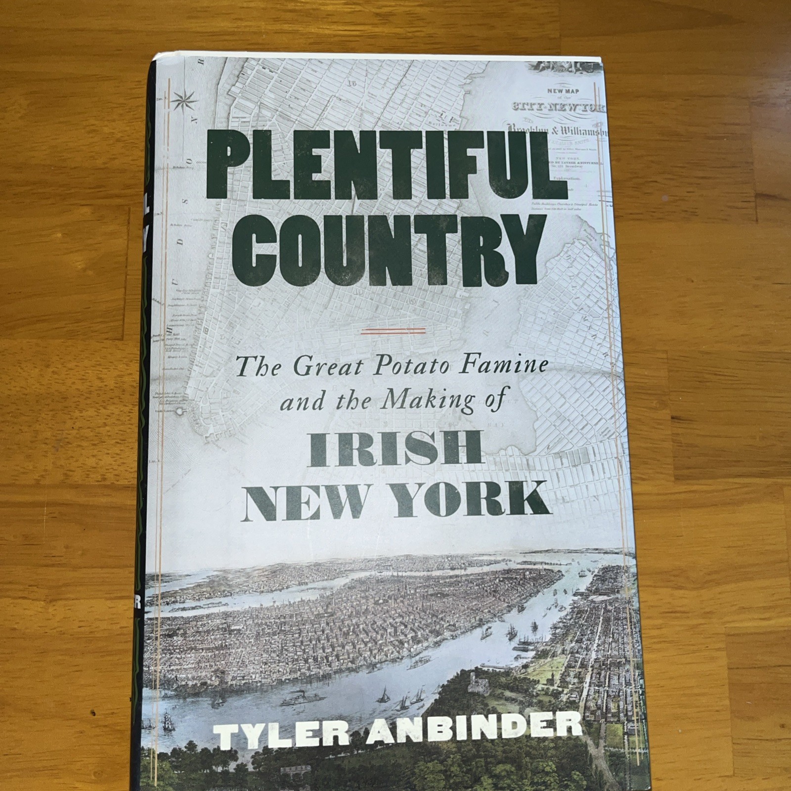 Plentiful Country: The Great Potato Famine and the Making of Irish New York