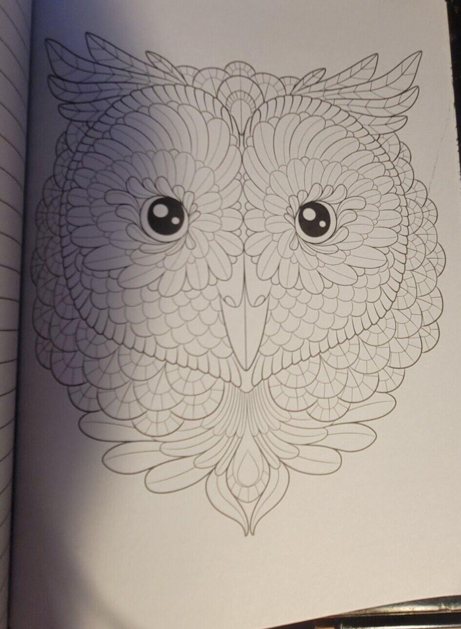 COLOR ME CALM JOURNAL Adult Coloring Book With 47 Prints Ready To Frame