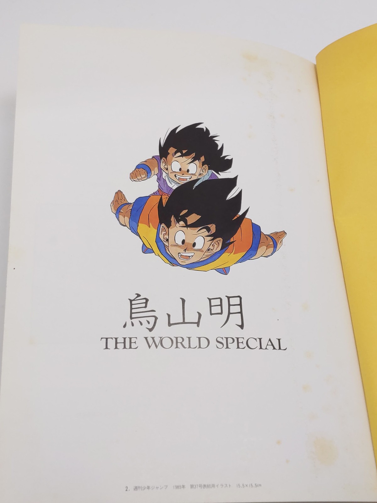 Akira Toriyama Illustrations The World Special – Hardcover