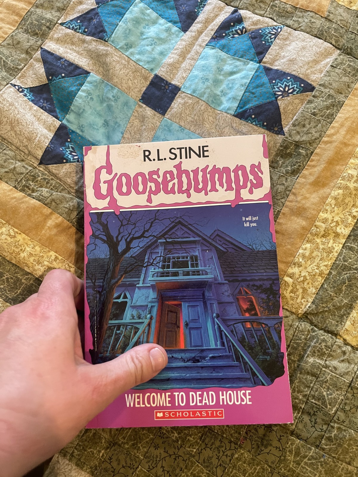 Goosebumps Books Lot of 8 – One 1990s, others from 2000s RL Stine Not Numbered