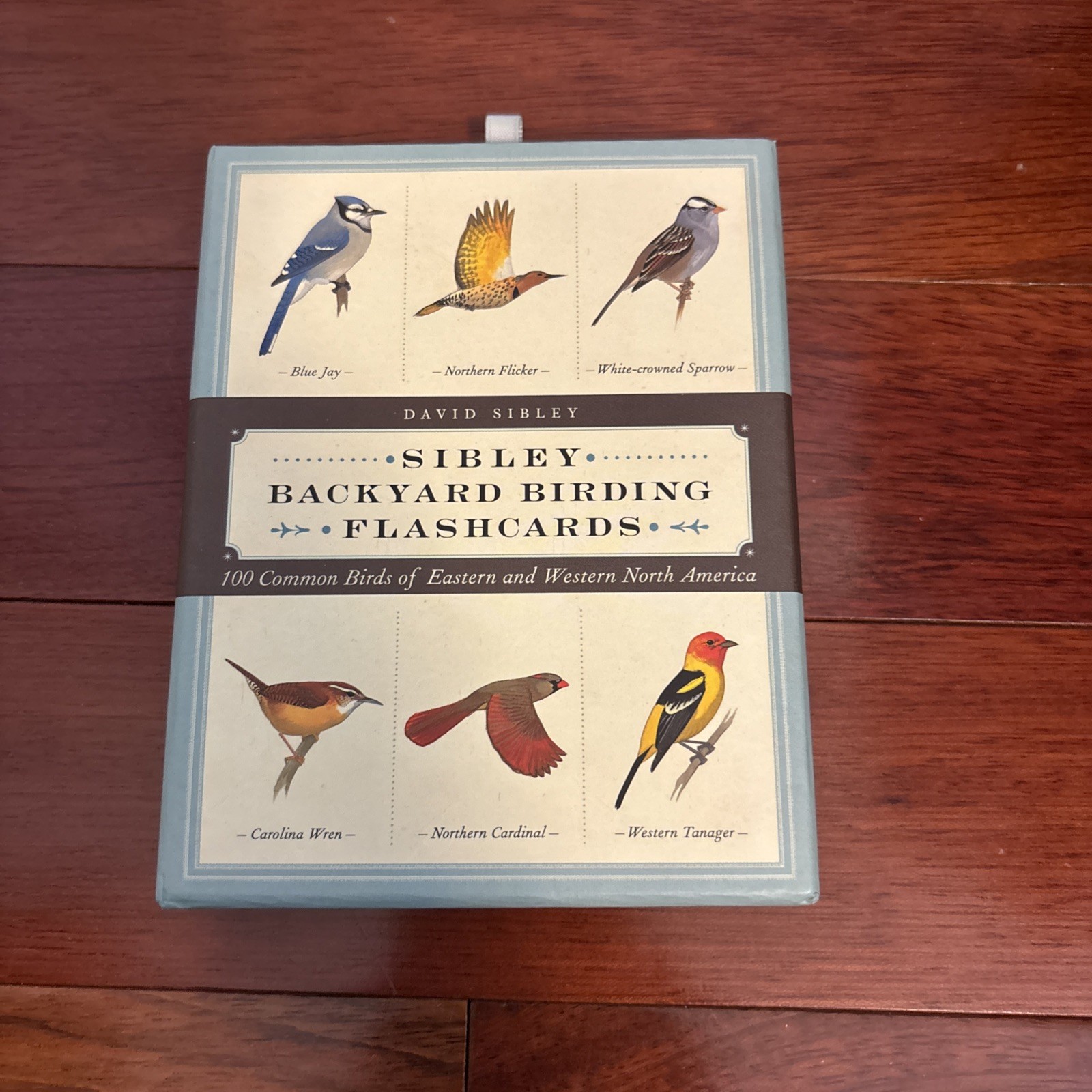 Sibley Backyard Birding Flashcards : 100 Common Birds of Eastern and Western…