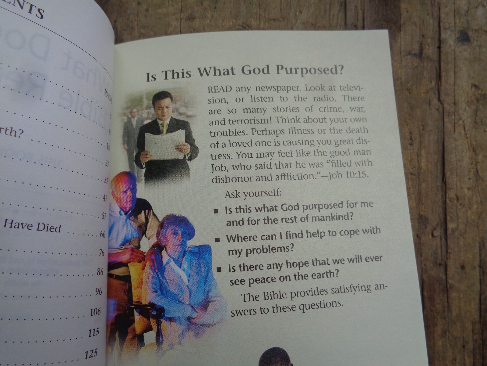 “WHAT DOES THE BIBLE REALLY TEACH?”. 2016. 223 pages. Paperback. Watchtower