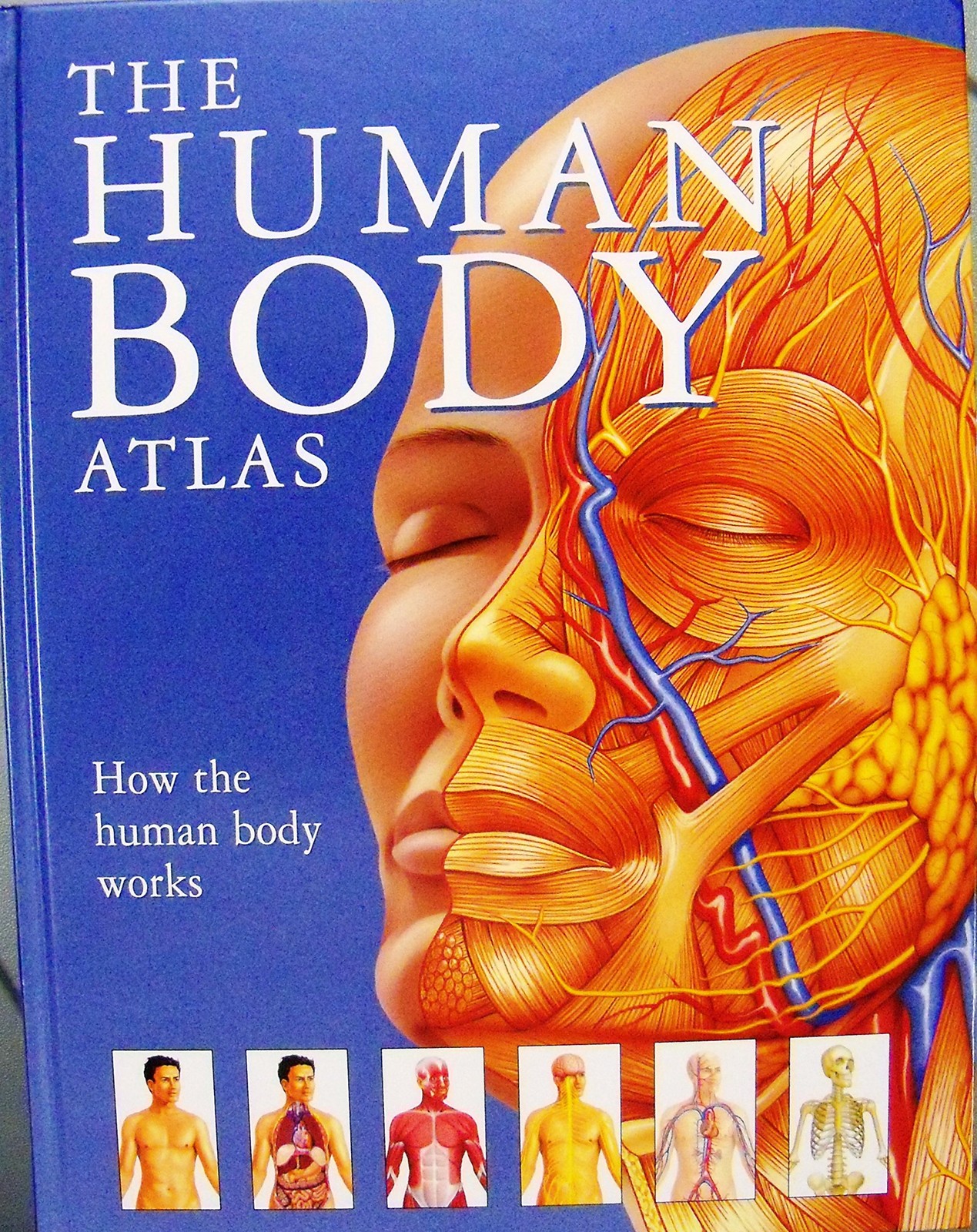 The Human Body Atlas: How the Human Body Works!