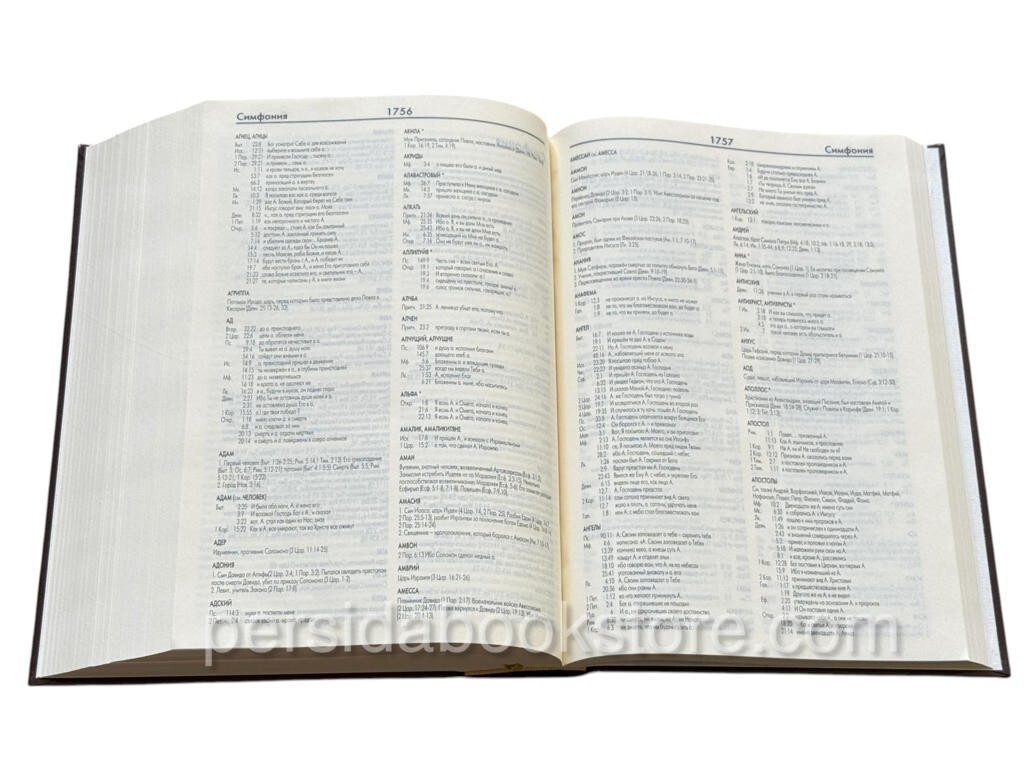Russian Bible New Zheneva Sturdy Новая женевская учебная Библия