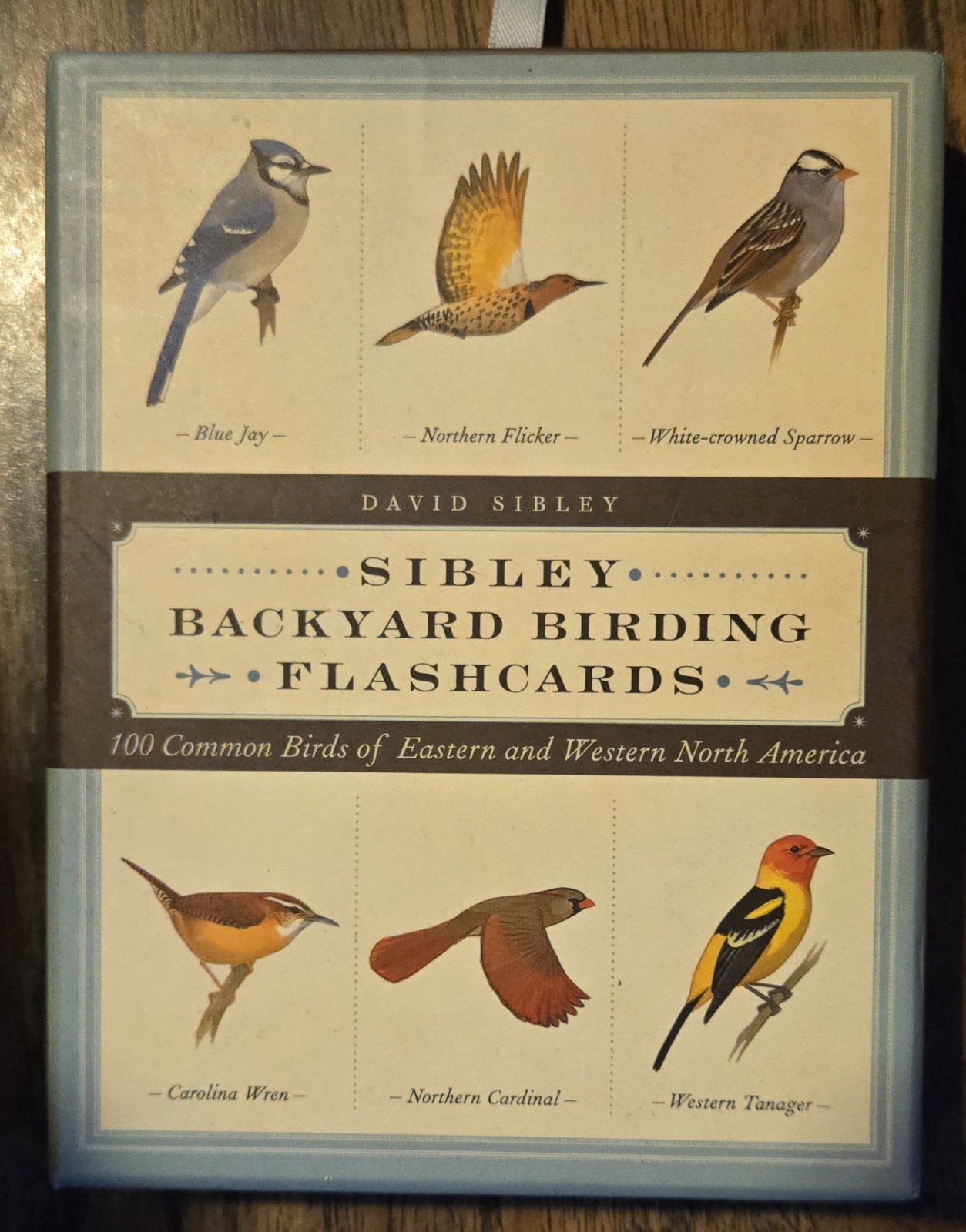 Sibley Backyard Birding Flashcards