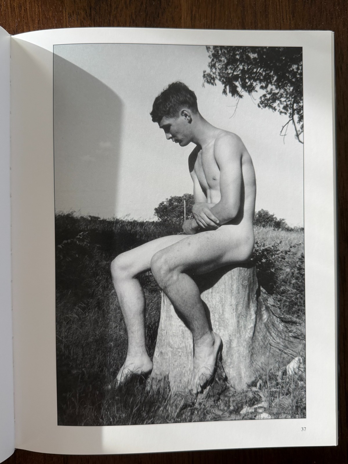 The Naked Heartland by Bruce of Los Angeles Male Nudes Book, RARE, Near Mint