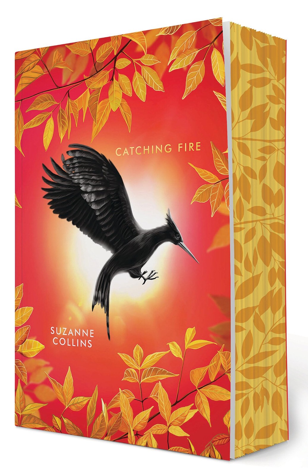 Catching Fire: Deluxe Edition (The Hunger Games, Book Two) (2)