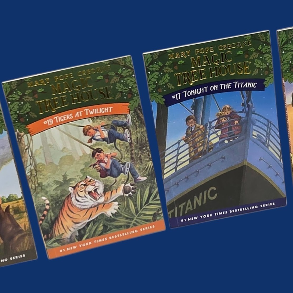 Set 3A: Magic Tree House A Library of Books 1-28 – Mary Pope Osborne Collection