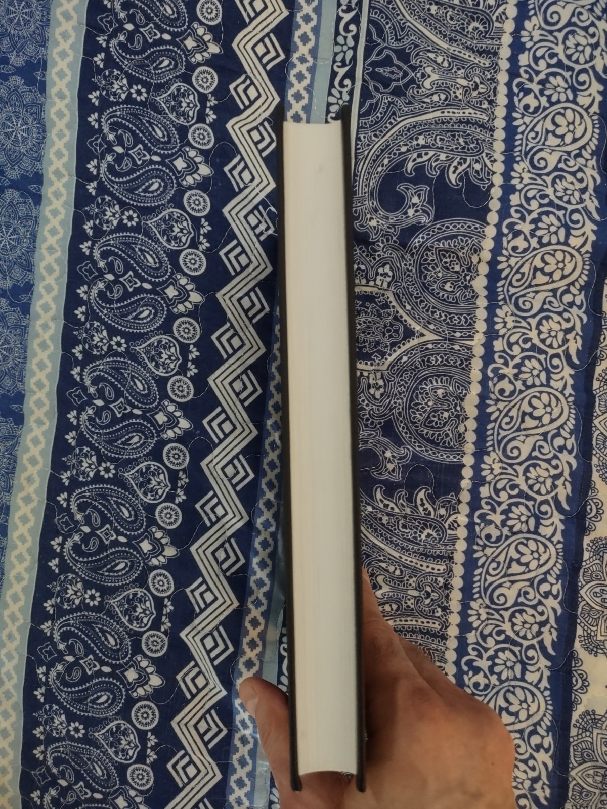 Essays Volume 4 by J. Edward & Erica Cornelius Signed Privately Published 1/200