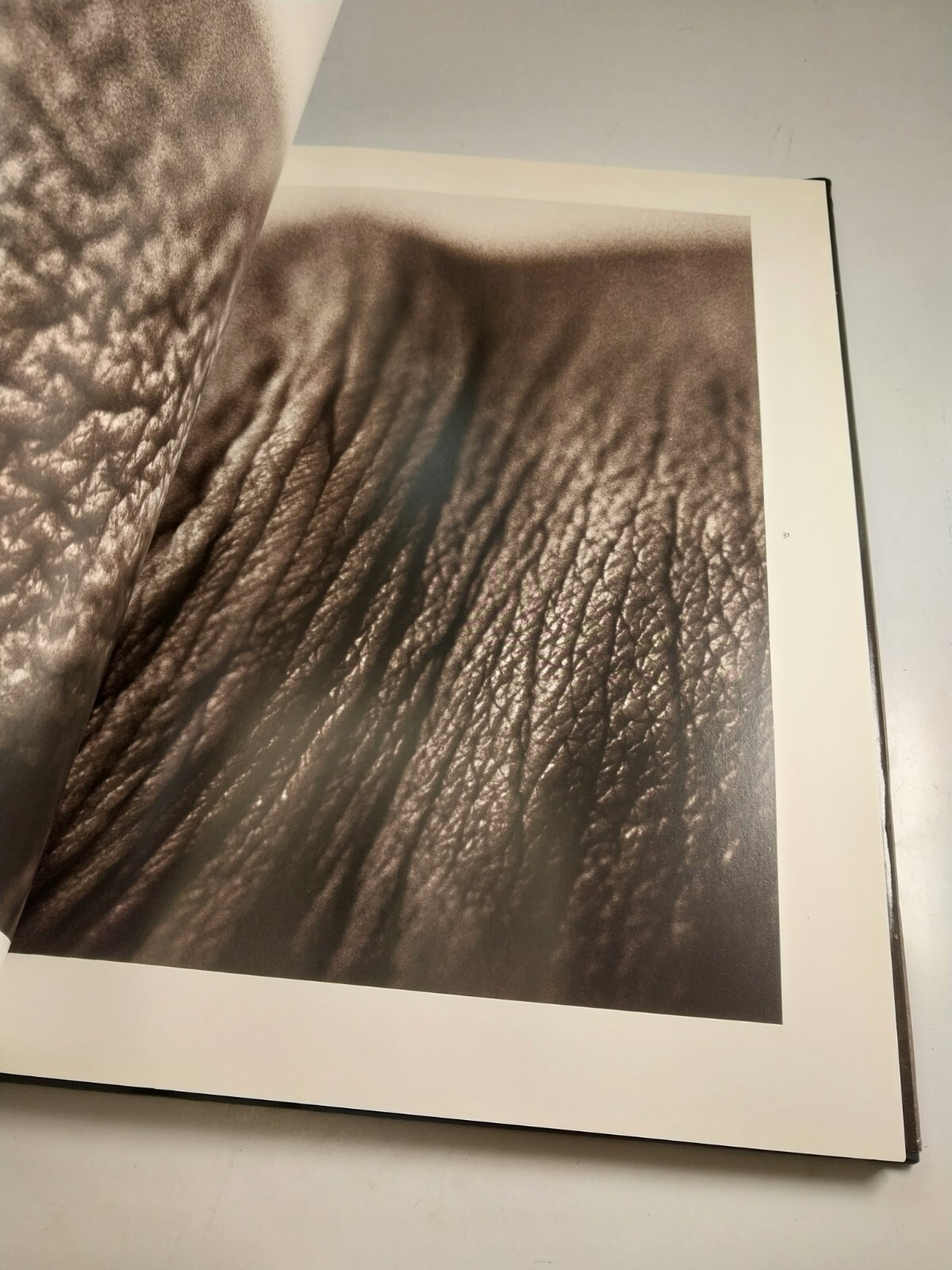 Humans by Henry Horenstein 2004 Fine Art Photography Signed Hardcover w/ DJ
