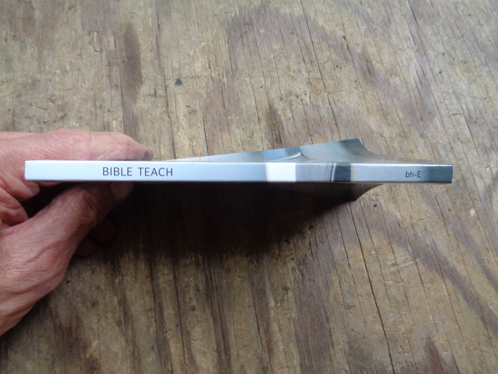 “WHAT DOES THE BIBLE REALLY TEACH?”. 2016. 223 pages. Paperback. Watchtower