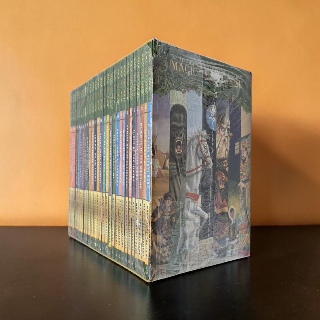 Set 3B: Magic Tree House A Library of Books 1-28 – Mary Pope Osborne Collection