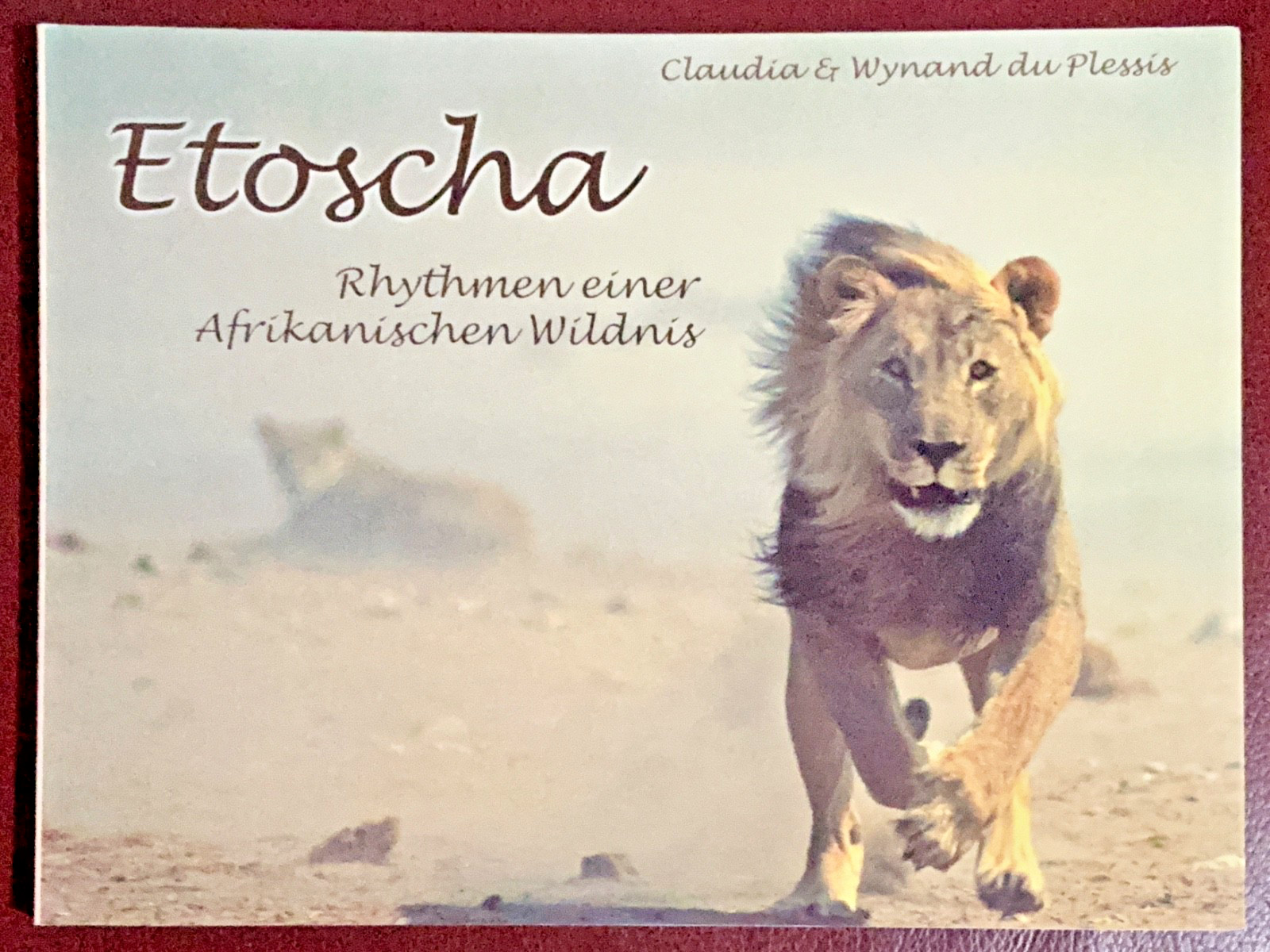 Claudia & Wynand du Plessis @ Etoscha @ Rythmen einer Afrikanischen Wildnis 2003