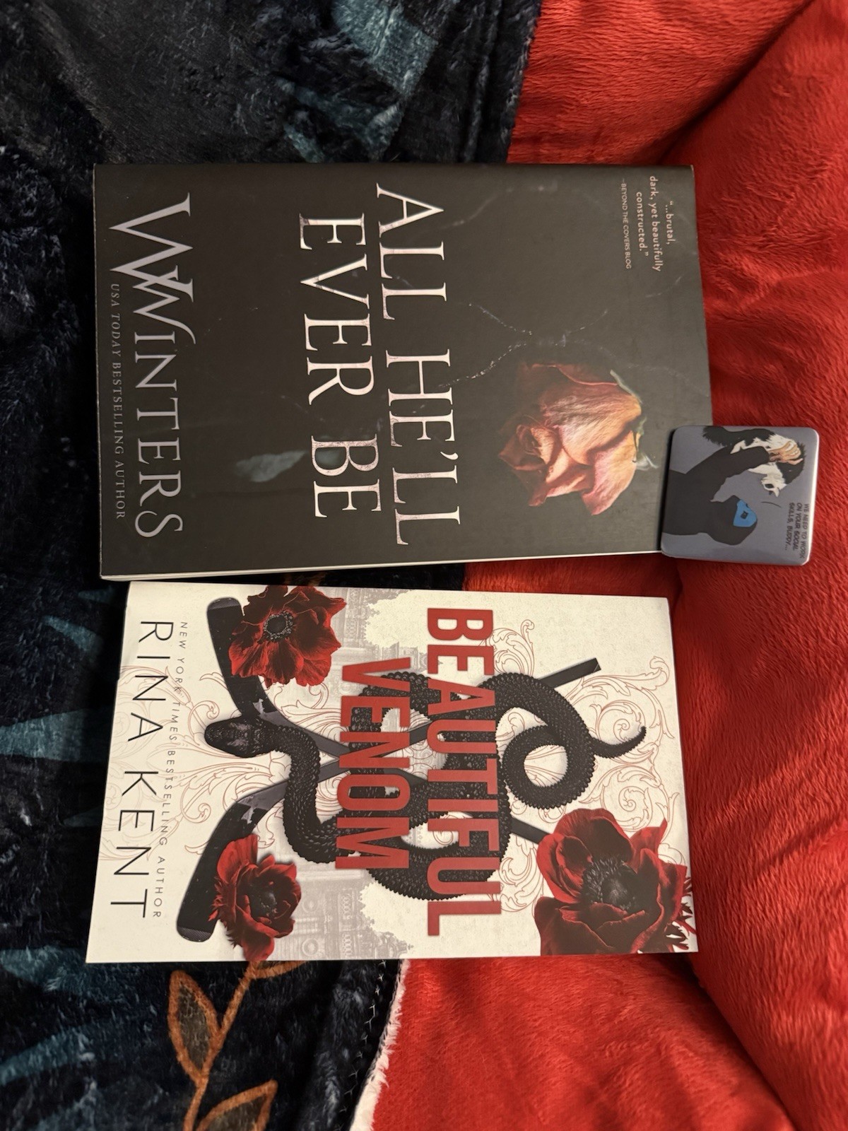 Dark Romance 2 Book Pack Plus Lights Out Magnet And Bookish Freebies