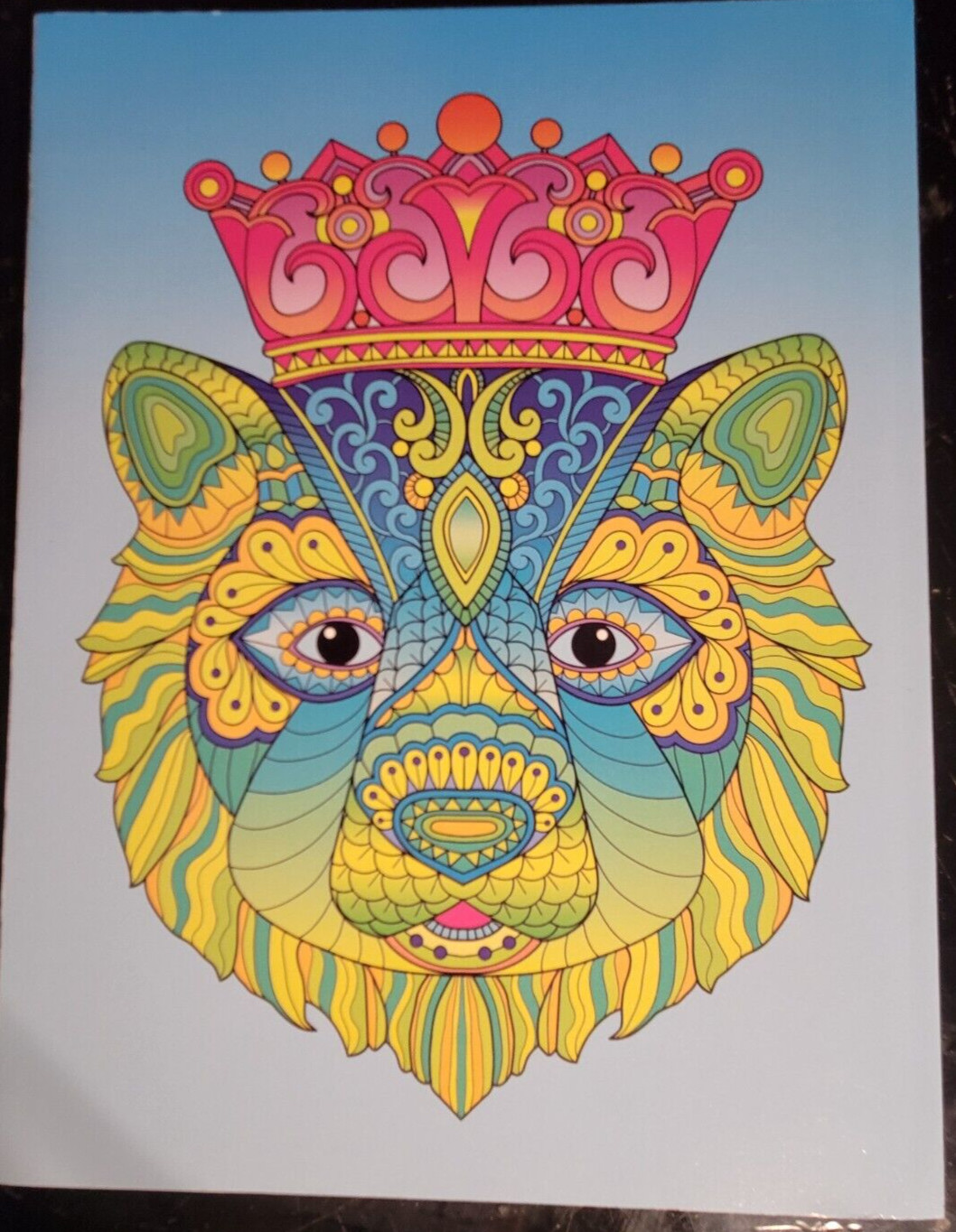 COLOR ME MAGNIFICENT Vol 11 Adult Coloring Book With 47 Prints Ready To Frame