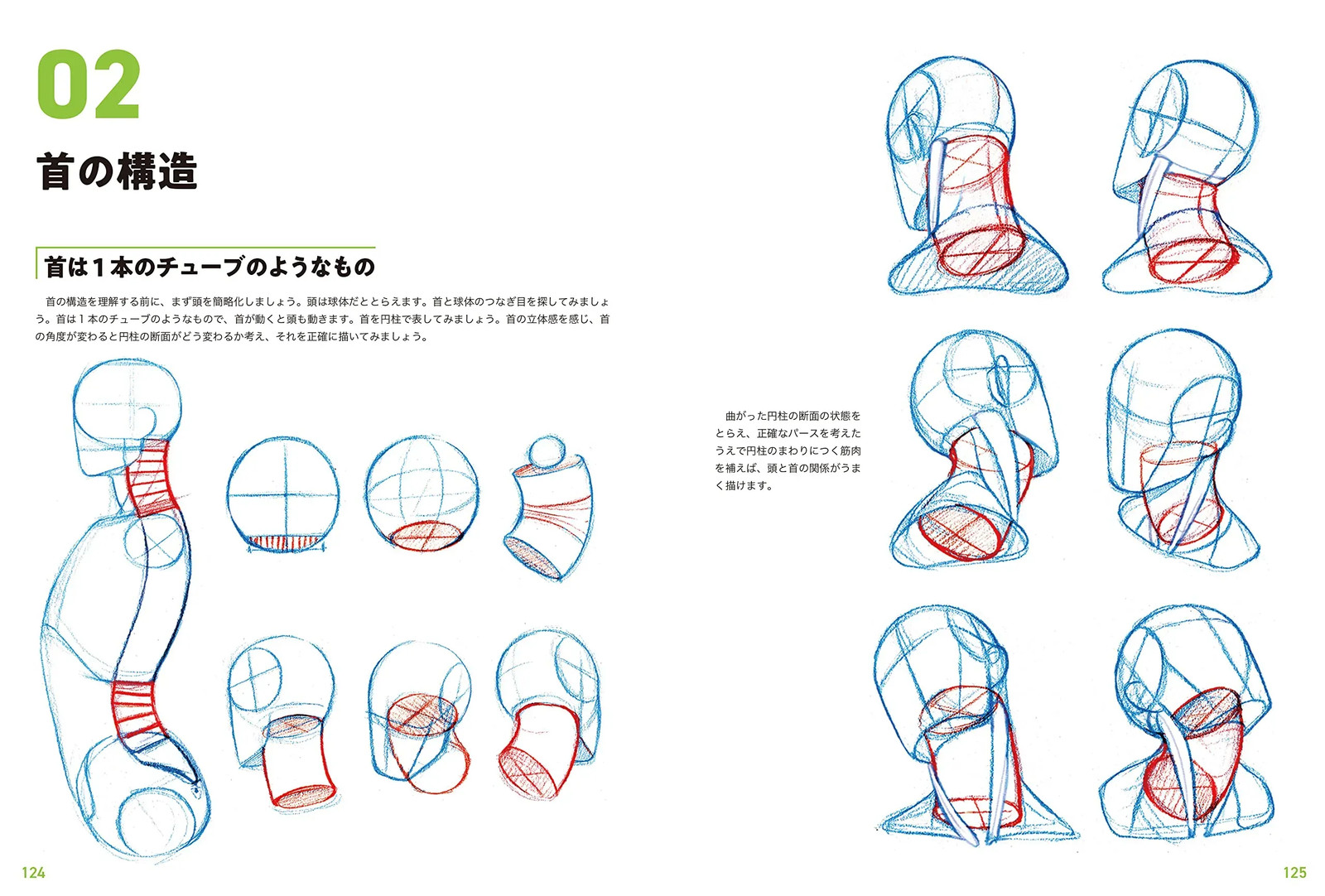 Japan NEW Master Guide to Drawing Human Figures Character Sketching Basics Manga