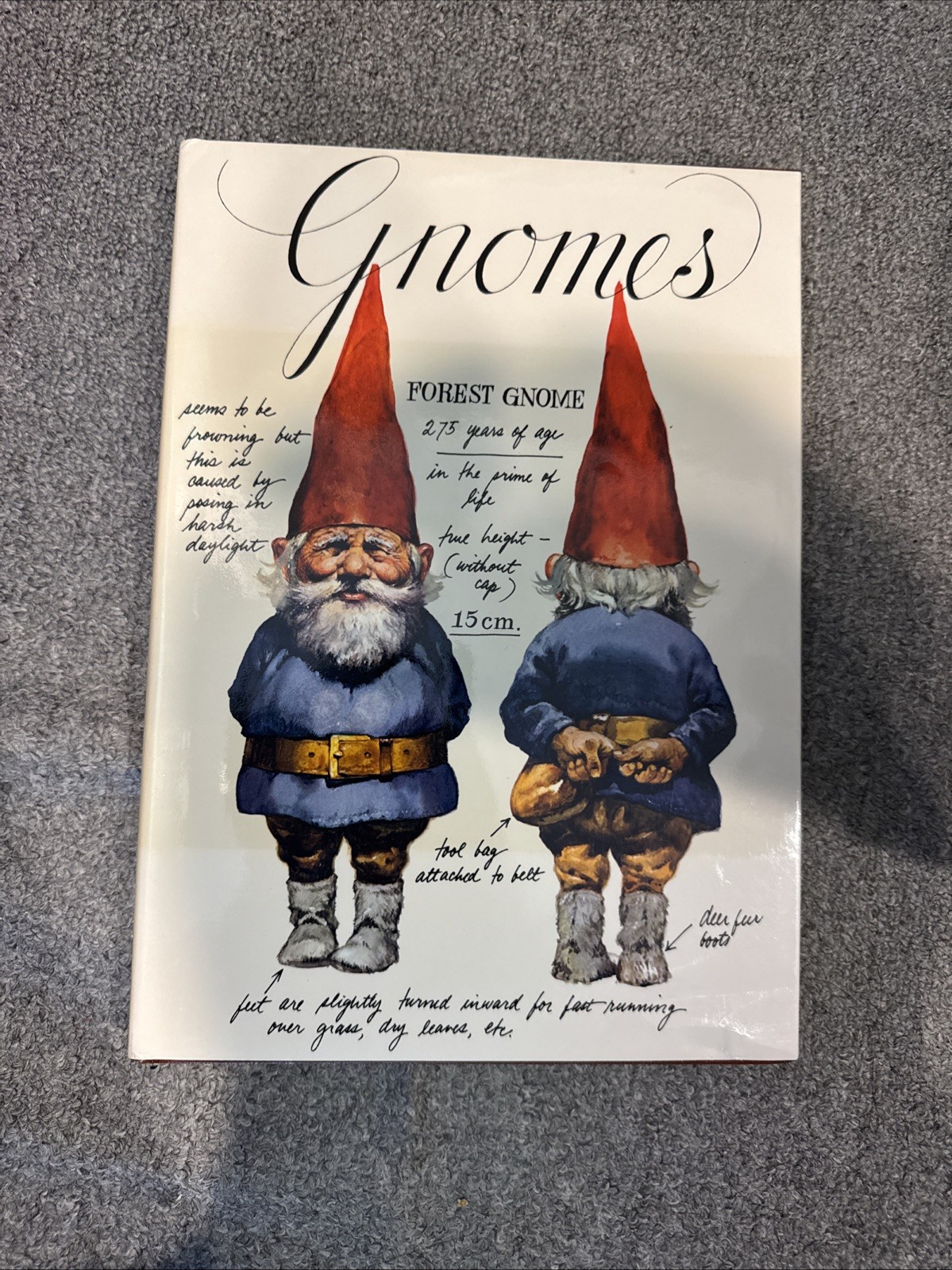 Gnomes by Wil Huygen & Rien Poortvliet 1977 Hardcover Illustrated First Edition