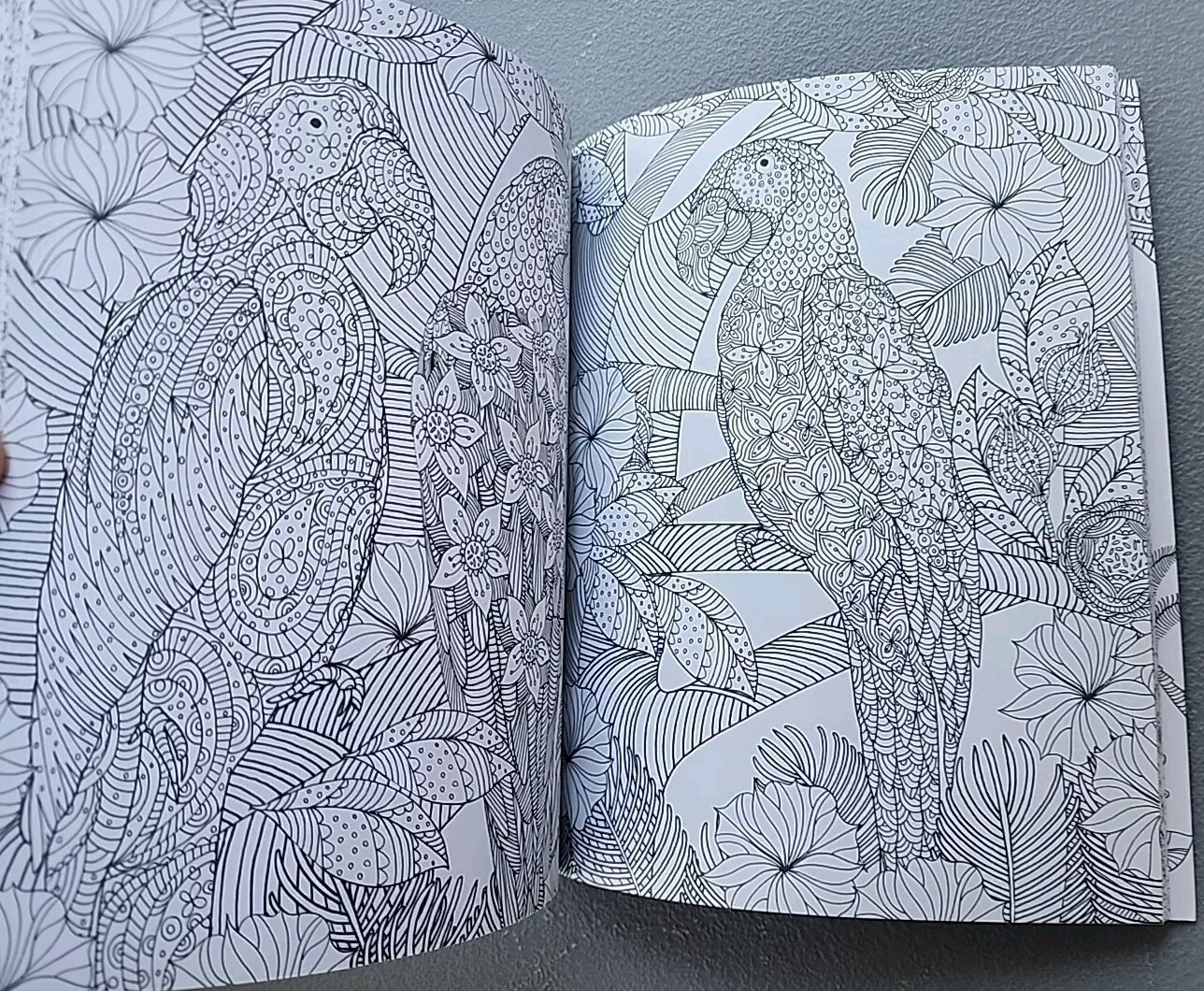 Paradise Island Color Your World Coloring Book Jane Heyes T10 New