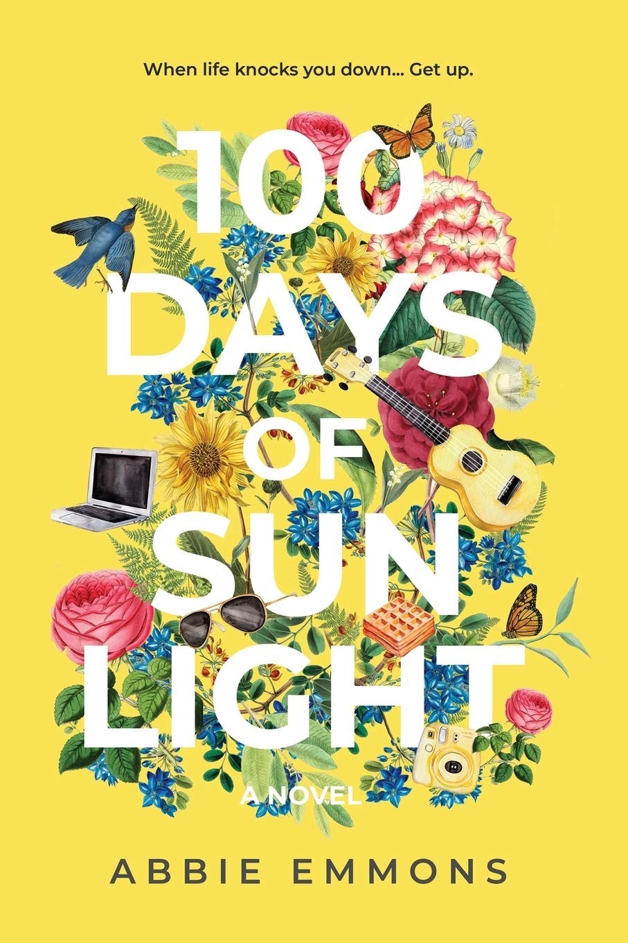 100 Days of Sunlight – paperback Emmons, Abbie