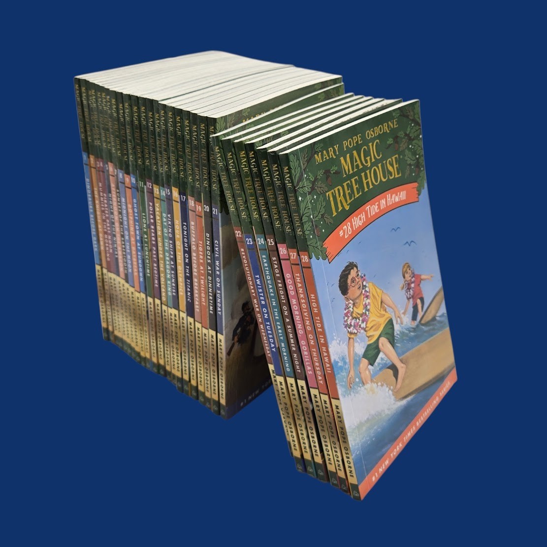 Set 5A: Magic Tree House A Library of Books 1-28 – Mary Pope Osborne Collection